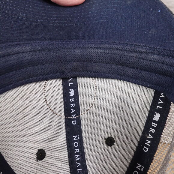 THE NORMAL BRAND ST LOUIS MO BEAR LOGO GREY VENTED SNAPBACK BASEBALL HAT CAP - Picture 10 of 11